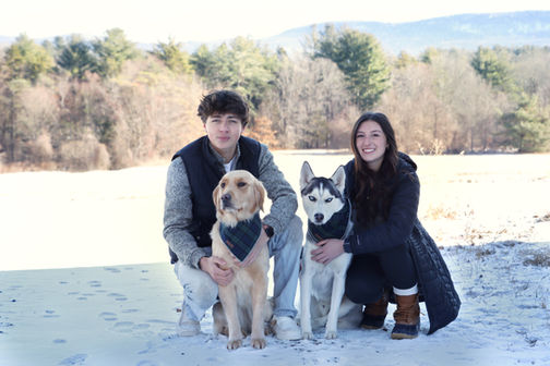 Dog training company in Western MA providing structured board and train programs for confident, well trained dogs