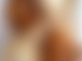 Find the best vegan coffee and pastries in Amsterdam