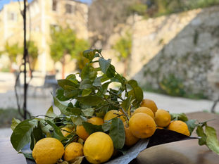Bowl of Mediterranean lemons on a courtyard table at Hôtel du Couvent in Nice, French Riviera