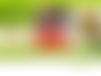 Business Feature is written on a white font with the business name in red Slave Lake Bistro. Image of the chef.