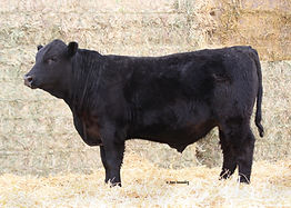 lot 27.jpg