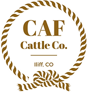 CAF official Logo.png