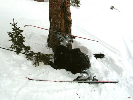 Skiing between the trees