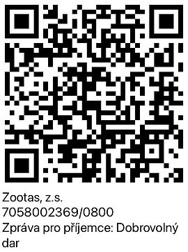 QR_dar.jpeg
