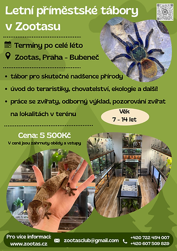 Letní tábory.png