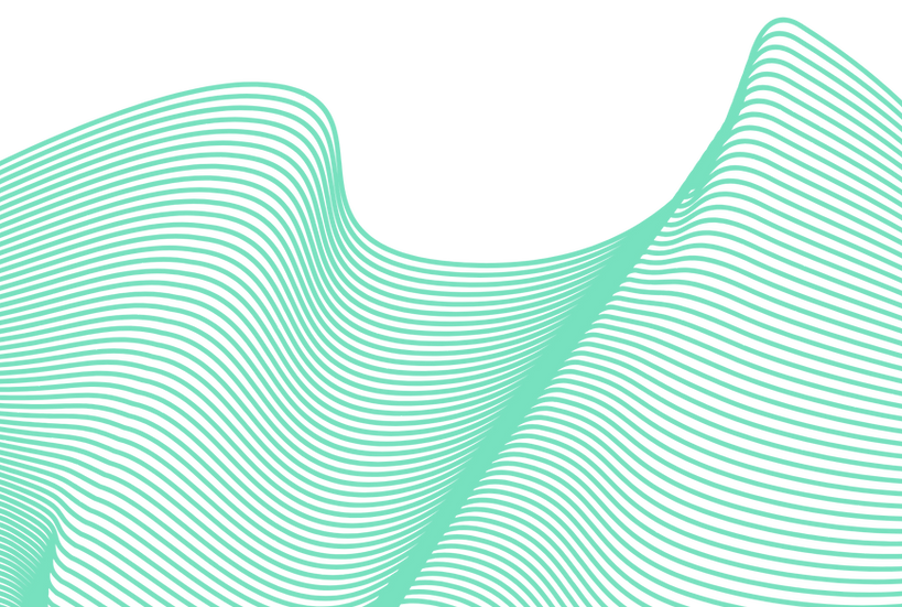 NovoSolis Brand Kit.png