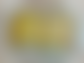 Prologue by Tamar Zelazny