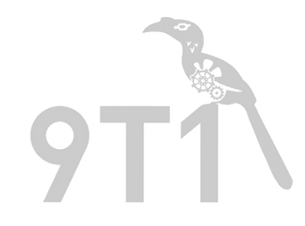 9t1 transparent