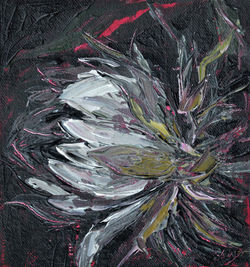 Kadupul flower painting, queen of the night flower