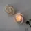 Thumbnail: Rose Bloom Flower Candle