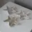 Thumbnail: Seastar Jewellery Dish
