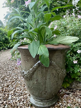 Glazed garden urns
