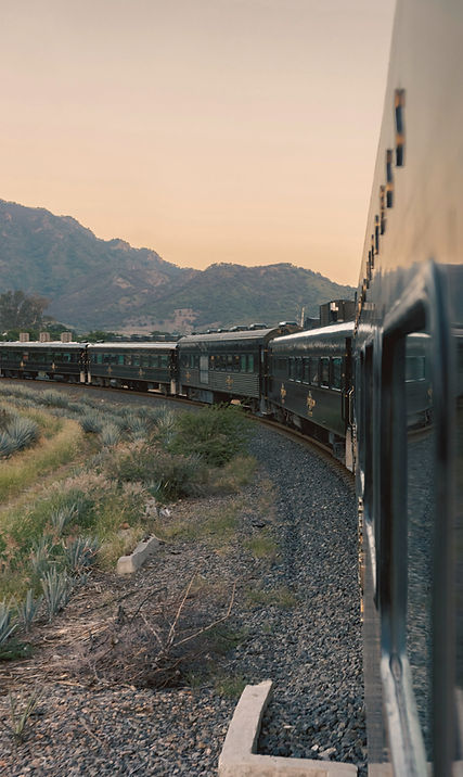 pexels-roger-ce-311041755-18531718_edite