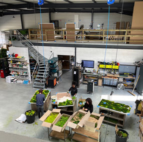 Vegetal Indoor, Les Ponts de Cé, Cabinet FOULONNEAU.jpg