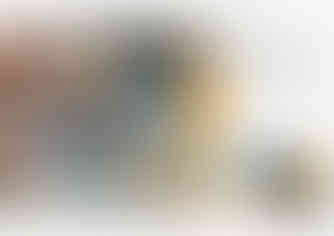 Asset 1@300x-100