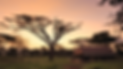 Design ohne Titel (1).png