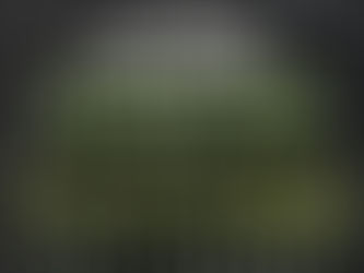 The MongolZ qualified for the ESL Challenger at DreamHack Jönköping 2024