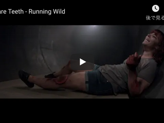 BARE TEETH(フランス)New MV『Running Wild』公開情報&JAPAN TOUR 2019