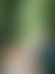 Un couple de jeunes mariés se baladant dans un parc pendant leur séance photo de couple.