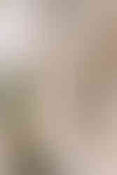 façade du domaine du petit mylord : mas provançal