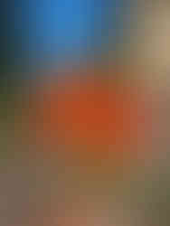 décoration florale coloré pour un mariage à Tarascon