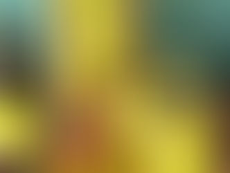 Huile d'olive extra-vierge Loretta 1888