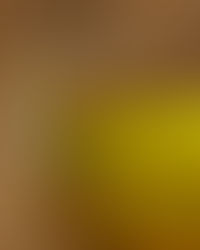 Huile d’olive extra vierge, riche en antioxydants et bienfaits pour la santé