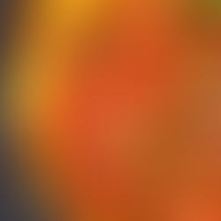 Tarte tatin tomate, huile d'olive et vinaigre balsamique