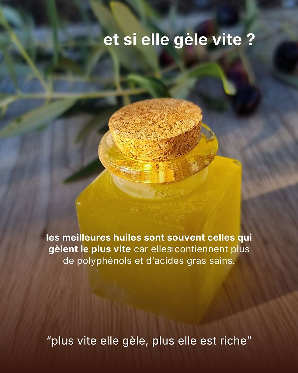 Pourquoi l'huile d'olive gèle vite Loretta 1888