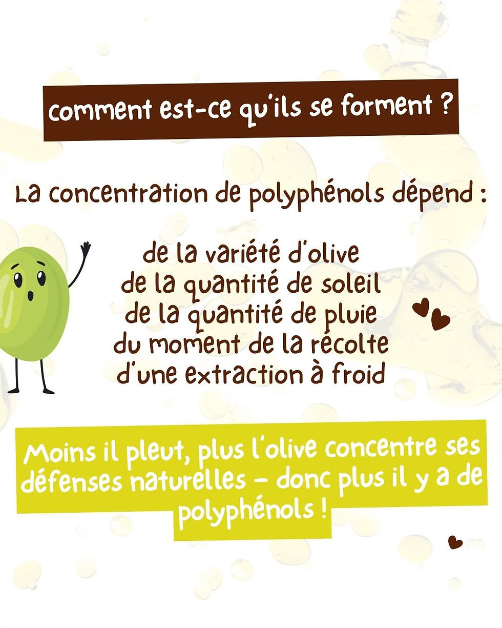 huile d'olive riche en polyphénols Loretta 1888 (3)