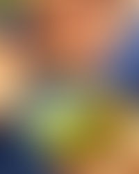 quel goût à l'huile d'olive Loretta 1888