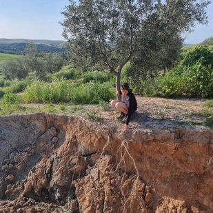 trou du à l'érosion dans champs d'olivier