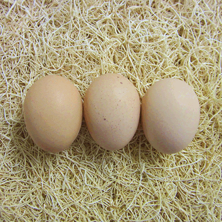 Thumbnail: Blue Partridge Brahma Hatching Eggs 6ct