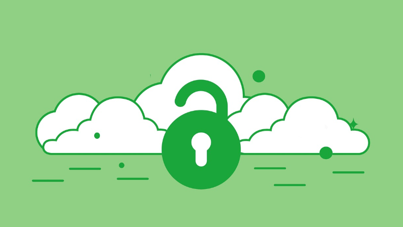 Cloud AI Security and Data Privacy Implementation