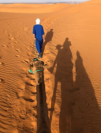 Camel ride Sahara Tour Marocco