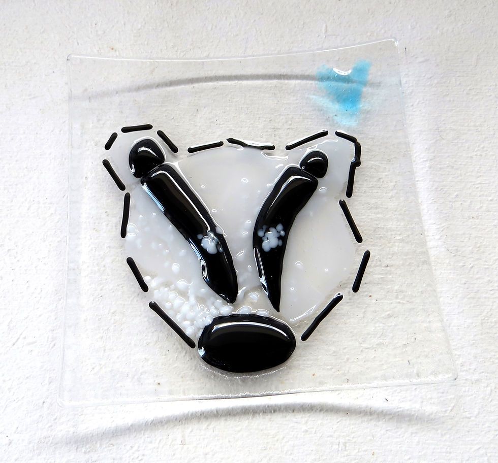 Thumbnail: Fused glass introduction Cockermouth