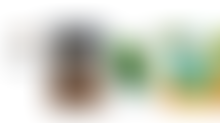 Գիրքերու աշխարհին մէջ նոր գիրքերու տողանցքըԱրեւմտահայերէն հրատարակութիւններու շնորհահանդէսներ՝ Երեւանի մէջ