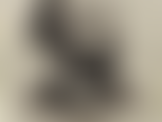 La Roseraie d’Armenie «Վարդենիք Հայաստանեաց» Արշակ Չօպանեան