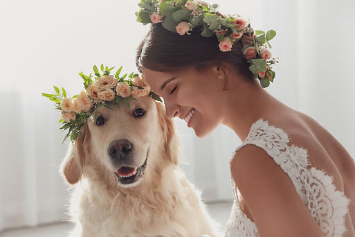 Wedding Day Pet Care Services in Pennsylvania_ Lebanon