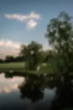 Wind in the Willows