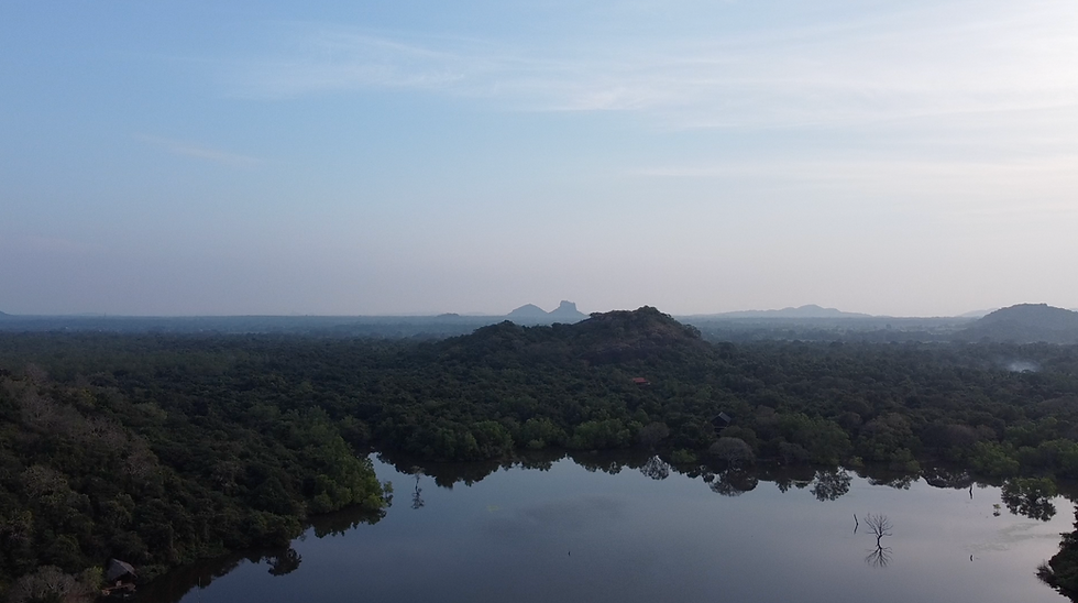 View across the lake and forest from Wild Grass Nature Resort towards Sigiriya