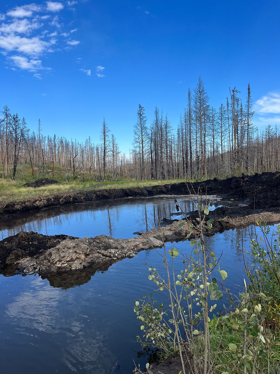 Elk Horn post-fire pond sediment removal during mid-construction.
