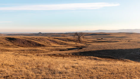 Breathing Life Back Into the Prairie — AloTerra’s Restoration Work at Soapstone Prairie Natural Area.