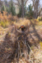 Billy Watson installing a BDA | Photograph by Erik Poppen