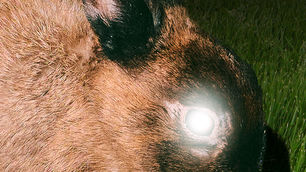 little image Turn Inner Turmoil Into Arena-Sized Catharsis on KILL THE GHOST