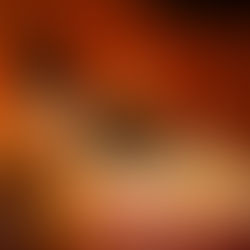 Beck Pete's New Video is Pure Magic