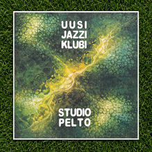 Studio Pelto album cover