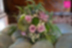 Succulents