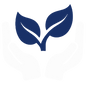icone07.png