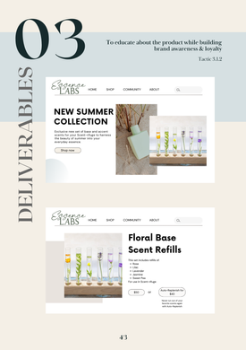 Objective 3 - Deliverable 1: Website Mockups